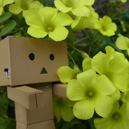 インファナル・アフェア３部作（Ⅰ・Ⅱは初回限定パッケージ） エリア88」 X-29 `風間真` (プラモデル) - ホビーサーチ