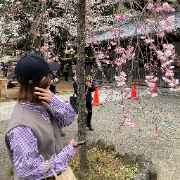 ちいちわ