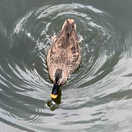 私がモテてどうすんだの映画レビュー 感想 評価 Movie Walker Press 映画